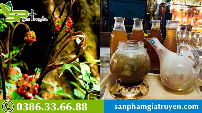 bi-quyet-ngam-sam-ngoc-linh-cung-mat-ong-ngon-bo-duong