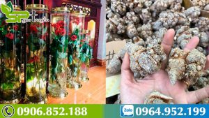 cach-ngam-ruou-cu-tam-that-tot-cho-suc-khoe