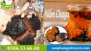 cach-xu-ly-nam-chaga-truoc-khi-dung