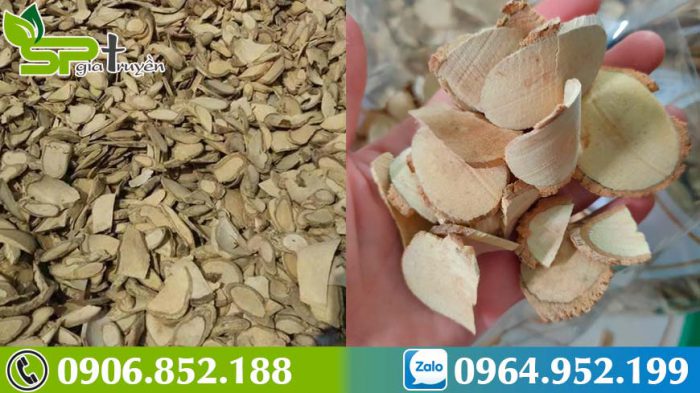 cay-thuoc-ho-tro-dieu-tri-ung-thu-ac-tinh-xao-tam-phan