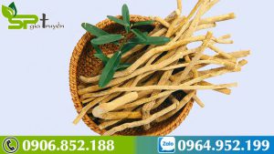 cay-thuoc-tri-5-dong-ung-thu-ac-tinh-xao-tam-phan