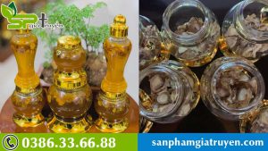 dich-covid-gay-chet-nguoi-dung-sam-ngoc-linh-ngam-mat-ong-tang-cuong-suc-de-khang