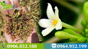 hoa-du-du-duc-ban-voi-gia-cao-khong-he-de-mua