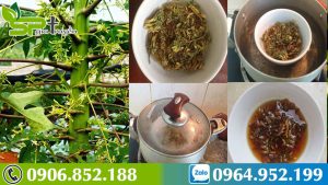 ky-la-voi-mon-ngon-tu-hoa-du-du-duc-bai-thuoc-tri-ung-thu