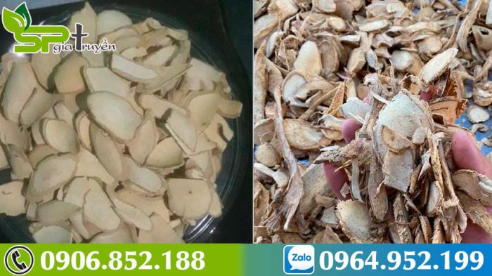 ngam-ruou-xao-tam-phan-tai-nha-cay-thuoc-tri-ung-thu