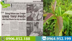 nguy-hiem-dung-thuoc-nam-chua-ung-thu-cay-xa-den-co-an-toan