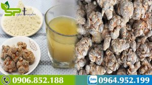 tam-that-chua-benh-gi-tac-dung-chua-benh-cua-tam-that