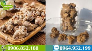 tam-that-vi-thuoc-tot-cho-nhung-benh-nhan-ung-thu