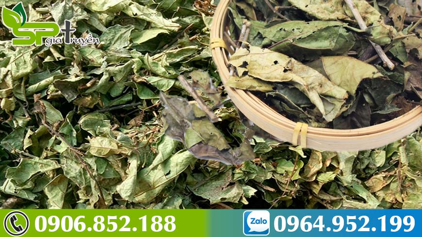 xa-den-chua-ung-thu-cuc-tot-nhung-khong-phai-ai-cung-biet-cach-dung