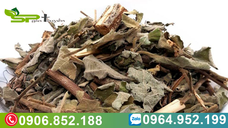 bai-thuoc-chua-viem-gan-ket-hop-cay-an-xoa-va-ca-gai-leo