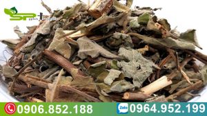 su-dung-cay-an-xoa-can-kieng-an-uong-gi