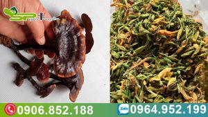 nam-lim-xanh-tri-ung-thu-khi-ket-hop-voi-hoa-du-du-duc