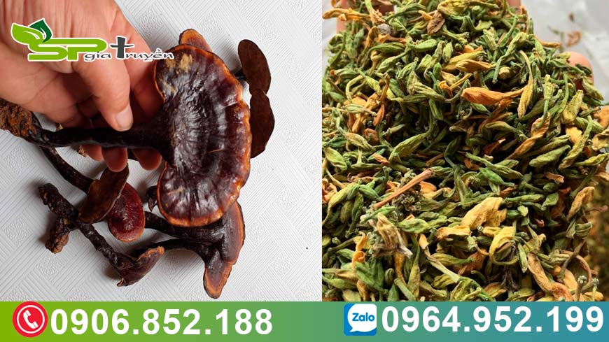 nam-lim-xanh-tri-ung-thu-khi-ket-hop-voi-hoa-du-du-duc