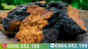 nam-chaga-ho-tro-suy-nhuoc-co-the-nhu-the-nao