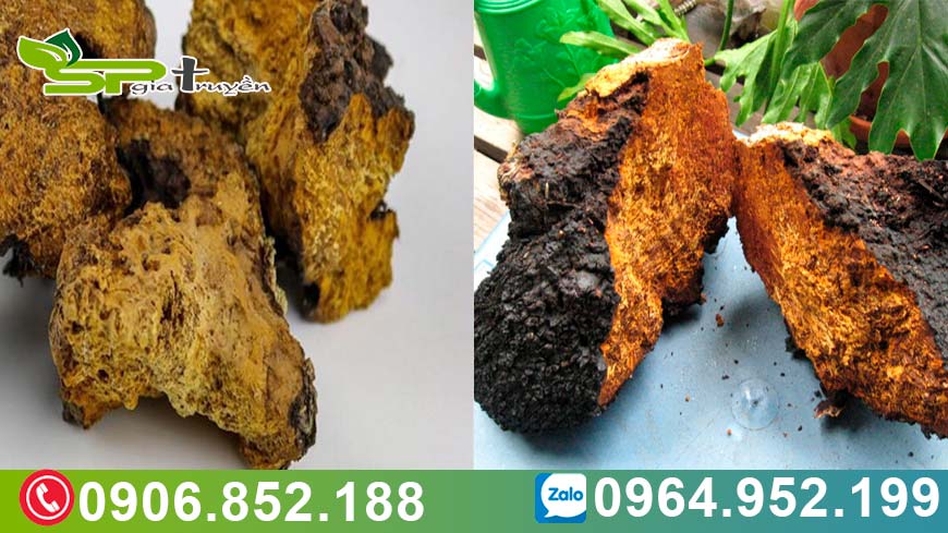 nam-chaga-ho-tro-suy-nhuoc-co-the-nhu-the-nao