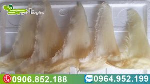 gia-ban-vi-ca-map-nguyen-vi-va-dia-chi-mua-uy-tin-tai-tai-tp-hcm