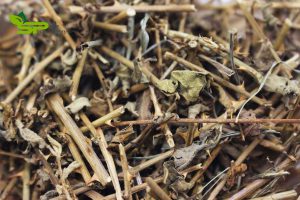 nhung-cach-duy-tri-loi-song-lanh-manh-moi-ngay