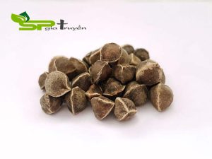 an-ngon-ngu-tot-voi-hat-chum-ngay