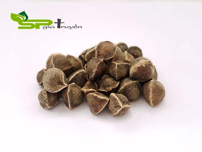 an-ngon-ngu-tot-voi-hat-chum-ngay