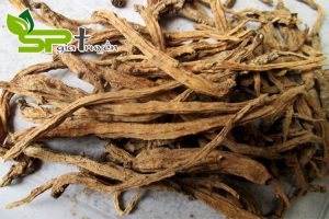 cac-thoi-quen-lanh-manh-giup-tang-suc-de-khang-trong-mua-dich