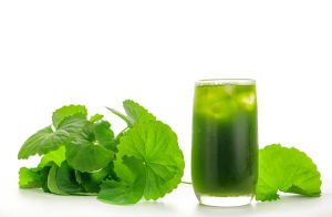 giai-nhiet-mua-he-voi-dong-y