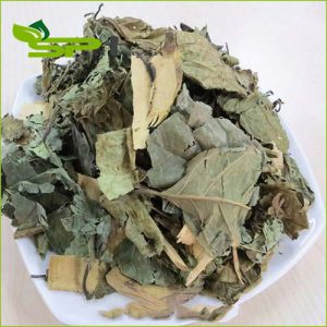 cay-xa-den-co-that-su-ho-tro-ung-thu