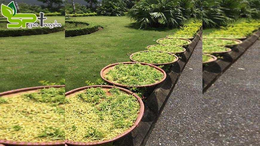 bo-sung-du-nuoc-hang-ngay-giup-ngan-ngua-viem-khop