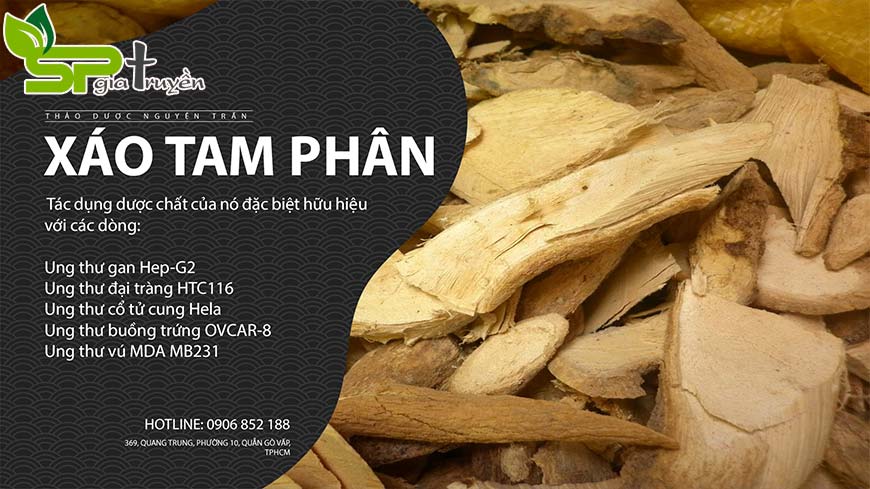 gia-ban-va-dia-chi-mua-xao-tam-phan-uy-tin