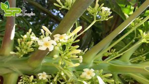 bo-sung-du-nuoc-hang-ngay-giup-ngan-ngua-viem-khop