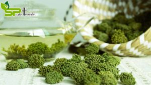 nu-hoa-tam-that-bac-dung-nhu-the-nao-de-ho-tro-tri-benh-tot-nhat