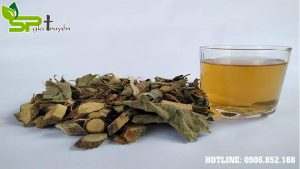 cay-an-xoa-chua-benh-gan