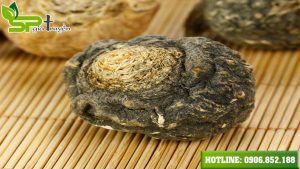 gia-ban-va-dia-chi-mua-sam-maca-uy-tin-tai-tp-hcm