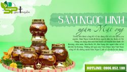 sam-ngoc-linh-mat-ong-tphcm