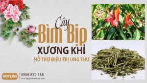 xương-khi