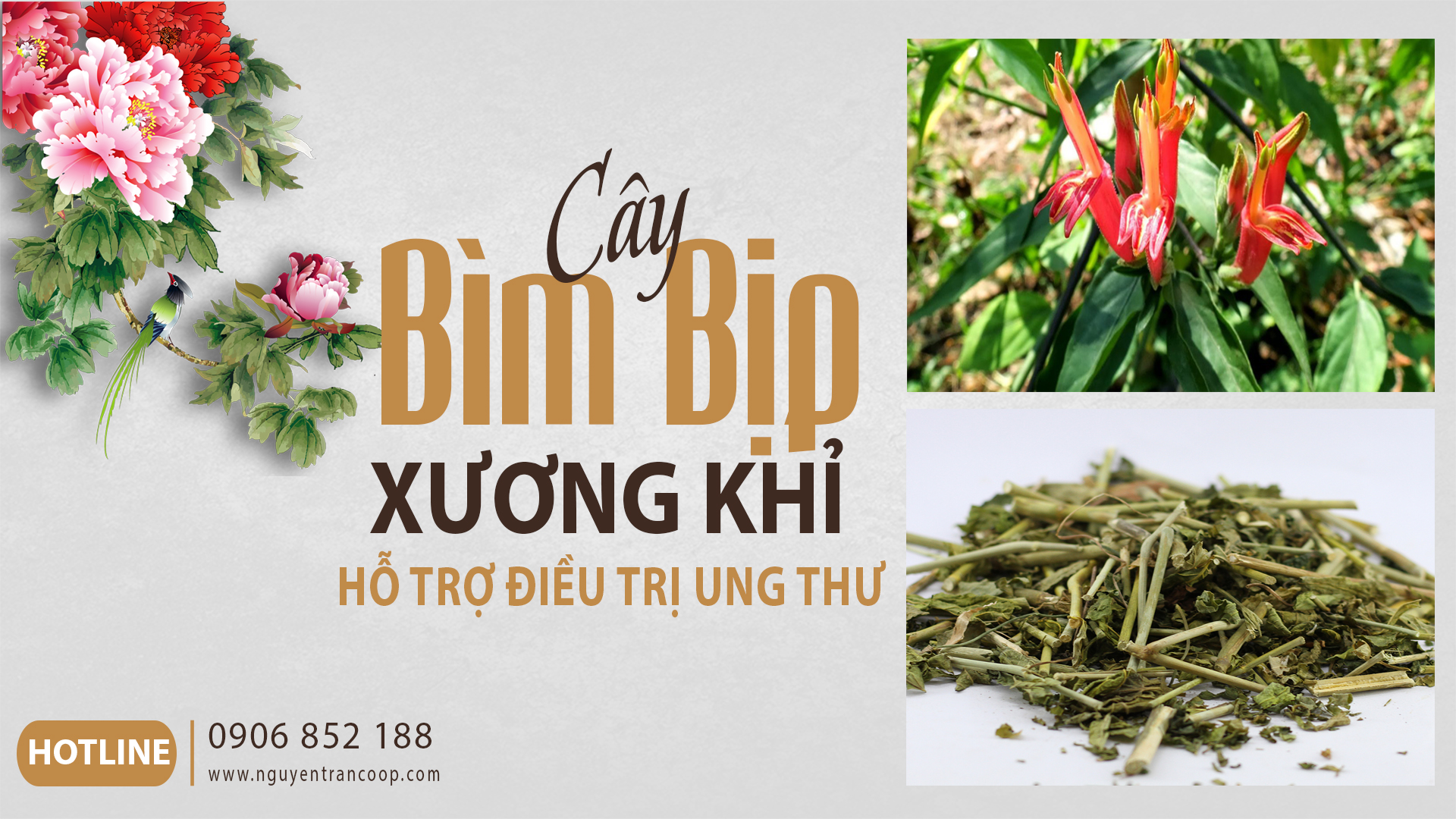 xương-khi