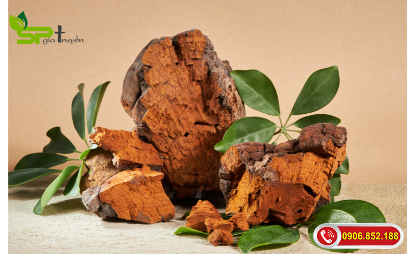 nam-chaga