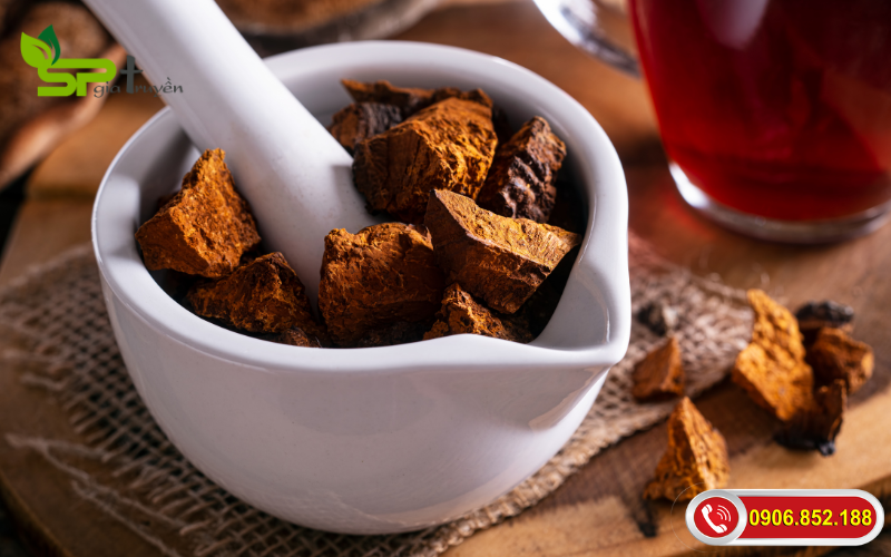 nam-chaga